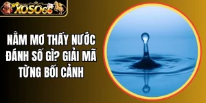 Nằm mơ thấy nước đánh số gì